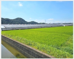  2025Ÿ��789 �泲 ���ֽ� ������ �̰ 854      ����(��)���