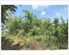  2025Ÿ��794 �泲 ���ֽ� ������ �� 713-2      ����(��)���