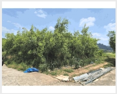  2025Ÿ��794 �泲 ���ֽ� ������ �� 713-2      ����(��)���