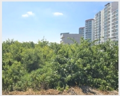  2025Ÿ��794 �泲 ���ֽ� ������ �� 713-2      ����(��)���