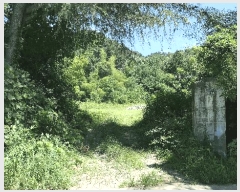  2025Ÿ��816 �泲 �ϵ��� �ϵ��� ���ĸ� 334-8      ����(����)���