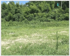  2025Ÿ��816 �泲 �ϵ��� �ϵ��� ���ĸ� 334-8      ����(����)���