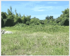  2025Ÿ��816 �泲 �ϵ��� �ϵ��� ���ĸ� 334-8      ����(����)���