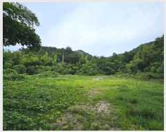  2025Ÿ��816 �泲 �ϵ��� �ϵ��� ���ĸ� 334-8      ����(����)���