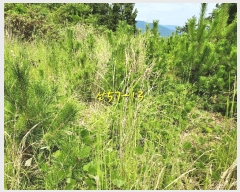  2025Ÿ��869 �泲 ���ر� â���� �뺮�� ��57-10      ����(�Ӿ�)���