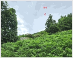  2025Ÿ��869 �泲 ���ر� â���� �뺮�� ��57-10      ����(�Ӿ�)���