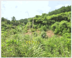  2025Ÿ��869 �泲 ���ر� â���� �뺮�� ��57-10      ����(�Ӿ�)���