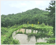  2025Ÿ��869 �泲 ���ر� â���� �뺮�� ��57-10      ����(�Ӿ�)���