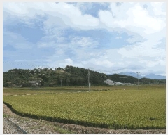  2025Ÿ��925 �泲 ��õ�� ������ ������ 328-1      ����(��)���
