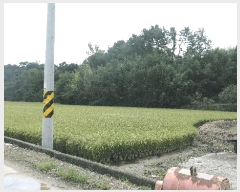  2025Ÿ��925 �泲 ��õ�� ������ ������ 328-1      ����(��)���