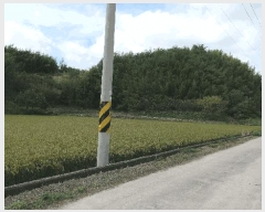  2025Ÿ��925 �泲 ��õ�� ������ ������ 328-1      ����(��)���