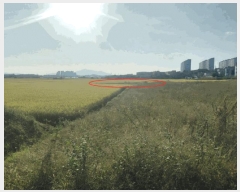  2025Ÿ��951 �泲 ��õ�� �糲�� ������ 242-2      ����(��)���