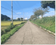  2025Ÿ��951 �泲 ��õ�� �糲�� ������ 242-2      ����(��)���