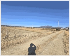  2025Ÿ��1033  ����