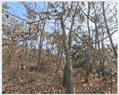  2025Ÿ��1053  �Ӿ߰��