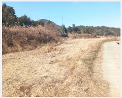  2025Ÿ��30051  ����