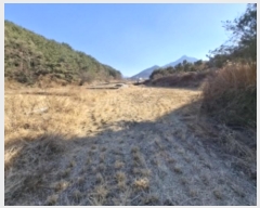  2025Ÿ��30051  ����