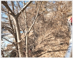  2025Ÿ��30591  �Ӿ߰��