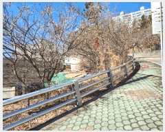  2025Ÿ��30591  �Ӿ߰��