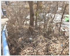  2025Ÿ��30591  �Ӿ߰��