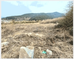  2025Ÿ��30654 �泲 ���ر� â���� ��õ�� 794      ����(��1)���