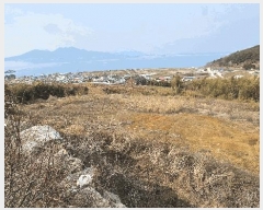  2025Ÿ��30654 �泲 ���ر� â���� ��õ�� 794      ����(��1)���