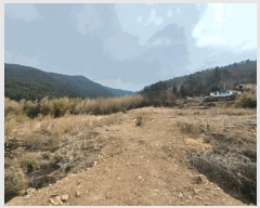  2025Ÿ��30654 �泲 ���ر� â���� ��õ�� 794      ����(��1)���