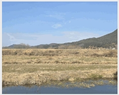  2025Ÿ��30661 �泲 �ϵ��� ������ ���ϸ� 1-2      ����(�Ӿ�)���