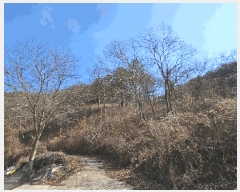  2025Ÿ��30667 �泲 ���ֽ� ������ ������ ��258-2      ����(�Ӿ�)���