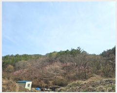  2025Ÿ��30667 �泲 ���ֽ� ������ ������ ��258-2      ����(�Ӿ�)���