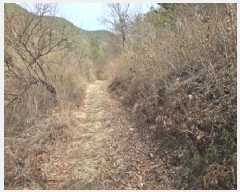  2025Ÿ��30667 �泲 ���ֽ� ������ ������ ��258-2      ����(�Ӿ�)���