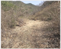  2025Ÿ��30667 �泲 ���ֽ� ������ ������ ��258-2      ����(�Ӿ�)���