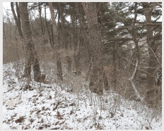  2025Ÿ��30672  �Ӿ߰��