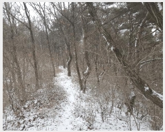  2025Ÿ��30672  �Ӿ߰��