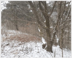  2025Ÿ��30672  �Ӿ߰��