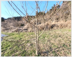  2025Ÿ��30687 �泲 ���ر� �ﵿ�� ��ȭ�� 183      ����(��1)���