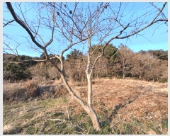  2025Ÿ��30687 �泲 ���ر� �ﵿ�� ��ȭ�� 183      ����(��1)���