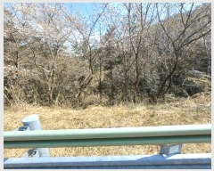  2025Ÿ��30699 �泲 ���ر� ���ָ� ���ָ� 2066      ����(��)���