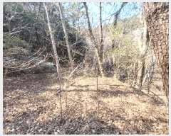  2025Ÿ��30699 �泲 ���ر� ���ָ� ���ָ� 2066      ����(��)���