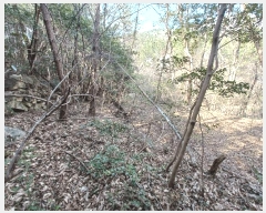  2025Ÿ��30699 �泲 ���ر� ���ָ� ���ָ� 2066      ����(��)���