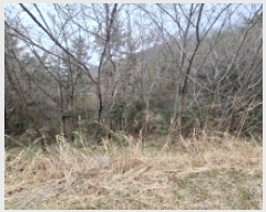  2025Ÿ��30699 �泲 ���ر� ���ָ� ���ָ� 2066      ����(��)���