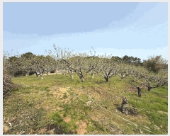  2025Ÿ��30734  �����