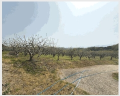  2025Ÿ��30734  �����