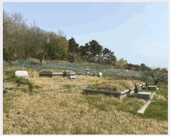  2025Ÿ��30734  �����