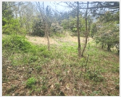  2025Ÿ��30742 �泲 ���ֽ� ������ �ݰ 429      ����(��1)���