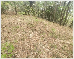  2025Ÿ��30742 �泲 ���ֽ� ������ �ݰ 429      ����(��1)���