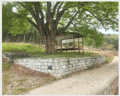  2025Ÿ��30742 �泲 ���ֽ� ������ �ݰ 429      ����(��1)���