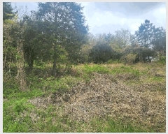  2025Ÿ��30742 �泲 ���ֽ� ������ �ݰ 429      ����(��1)���