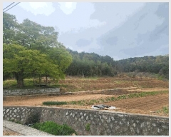  2025Ÿ��30742 �泲 ���ֽ� ������ �ݰ 429      ����(��1)���