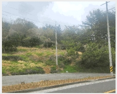  2025Ÿ��30742 �泲 ���ֽ� ������ �ݰ 429      ����(��1)���